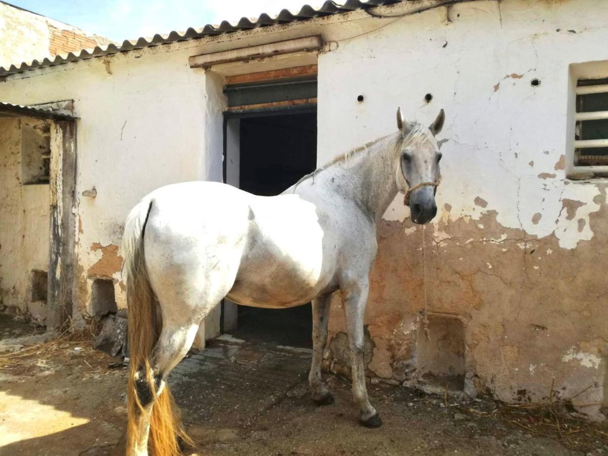 Las Maravillas De Manuel By Solymar Holiday Malaga Zewnętrze zdjęcie